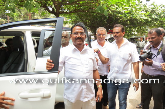 Palemar-Nomination_4