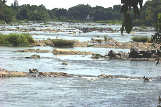kaveri-river