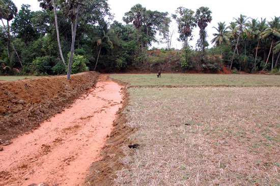 kuttettur_Rain_prob_2