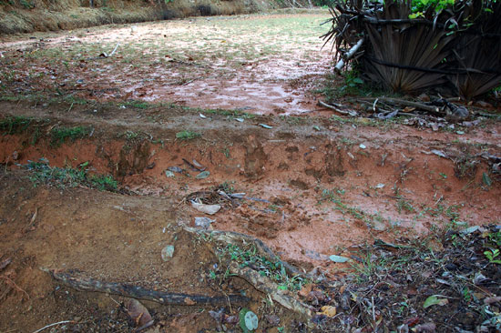 kuttettur_Rain_prob_4