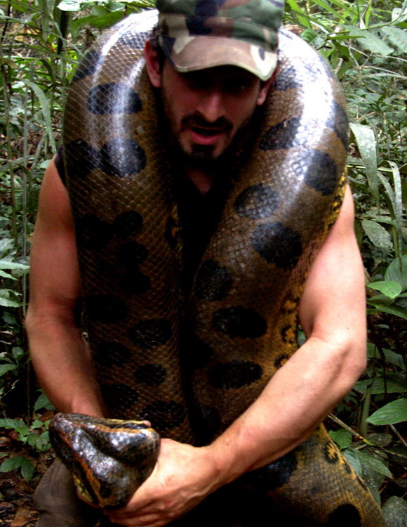 Amazon_Poster_Pics_14 (1)