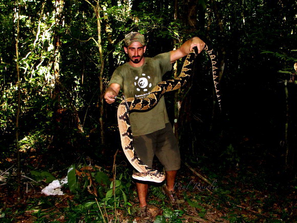 Amazon_Poster_Pics_2