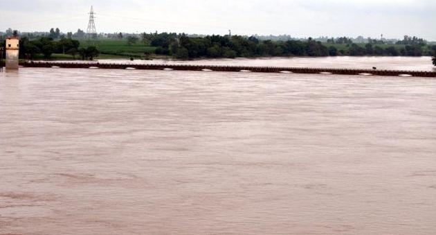 Krishna river