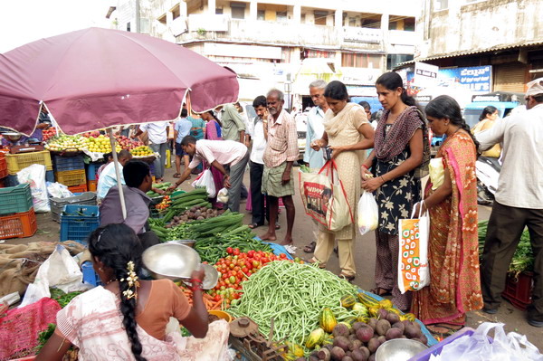 Astami_special_pics_11