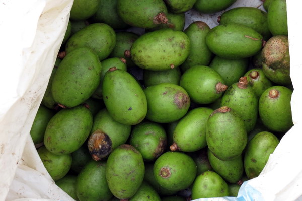 Astami_special_pics_14