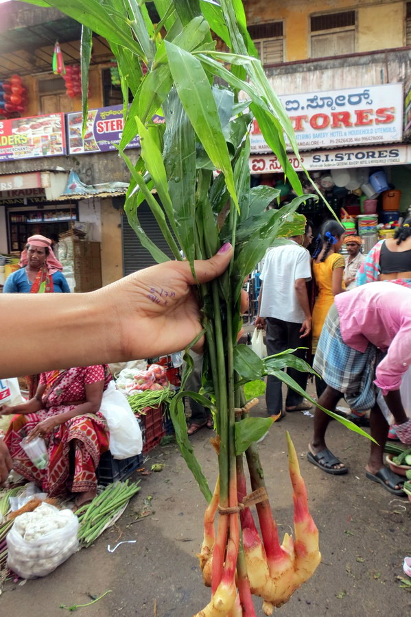 Astami_special_pics_15