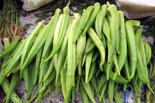 Astami_special_pics_16