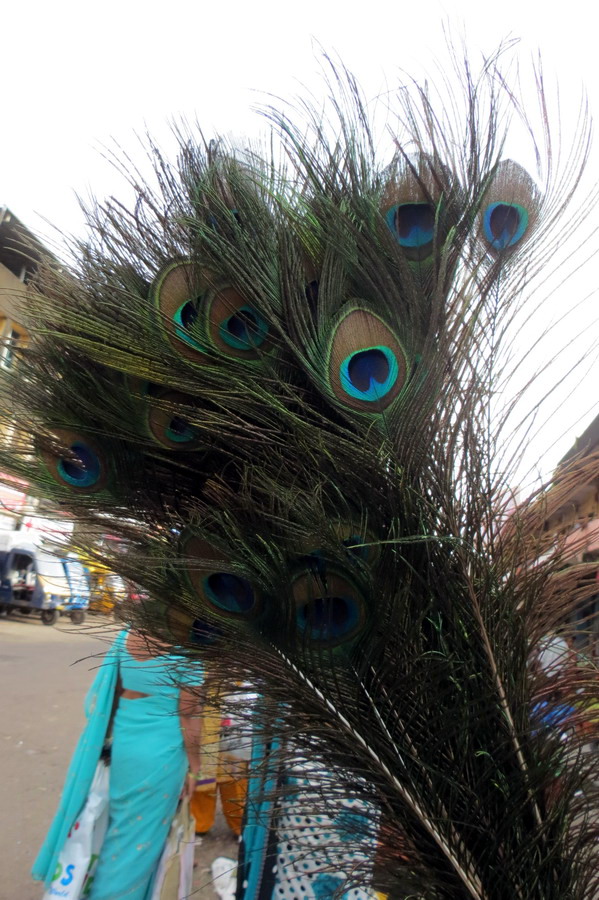 Astami_special_pics_19