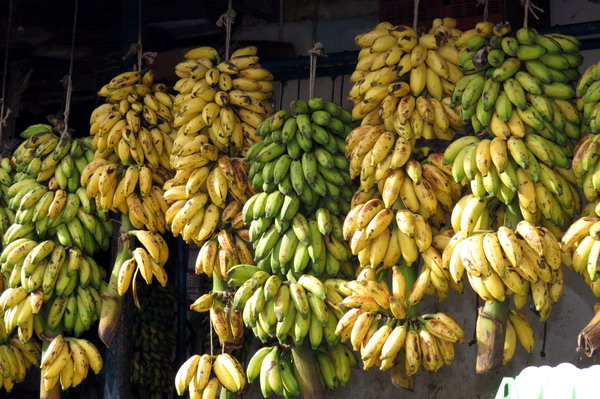 Astami_special_pics_20