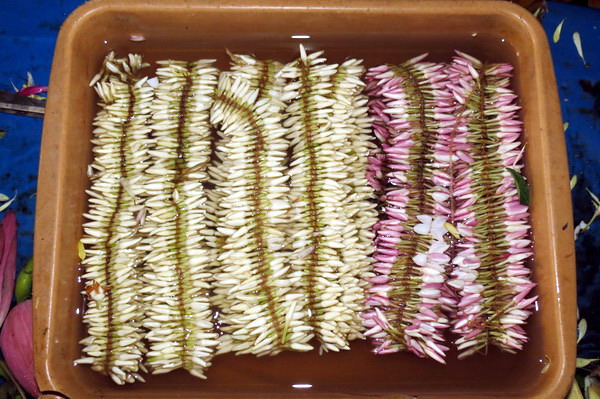 Astami_special_pics_21