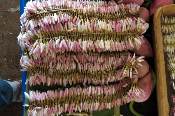 Astami_special_pics_22