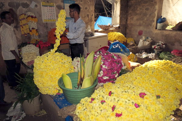 Astami_special_pics_23