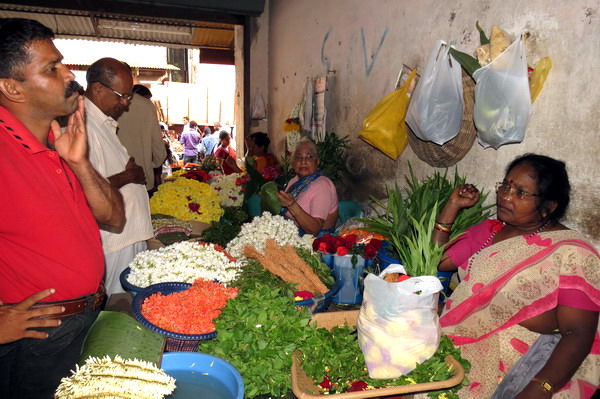 Astami_special_pics_24