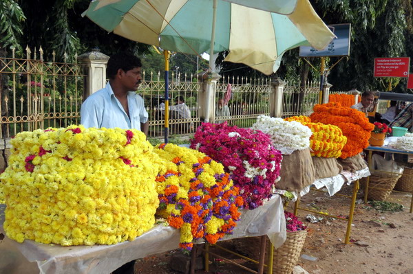 Astami_special_pics_26