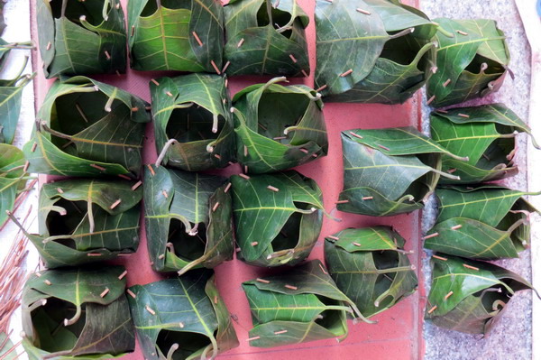 Astami_special_pics_27