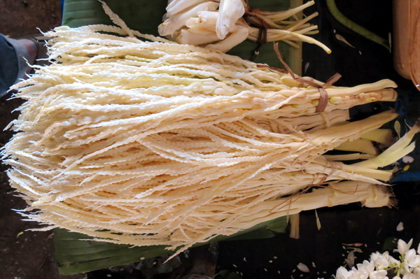 Astami_special_pics_28