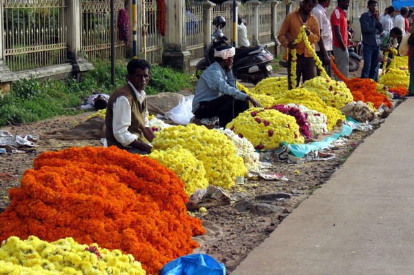 Astami_special_pics_3