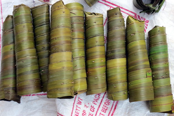 Astami_special_pics_9