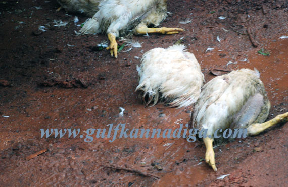 Bus_truck_collision_3