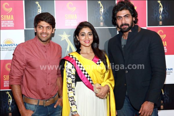 Tulu Films Pressmeet-dubai-2013-010