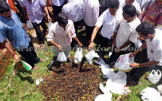 adilke_sullya_package