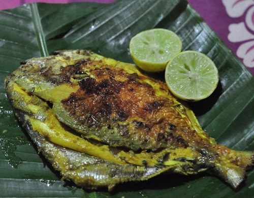 fish masala