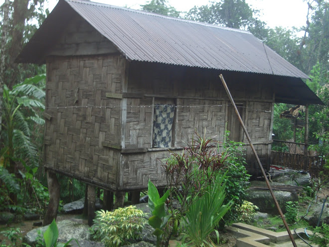 village home