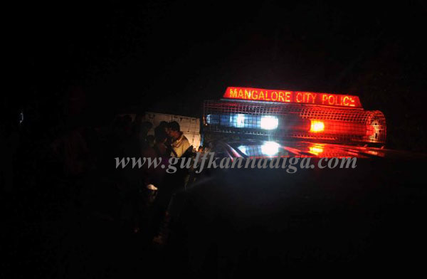 Illiegall_Cattle_transport3