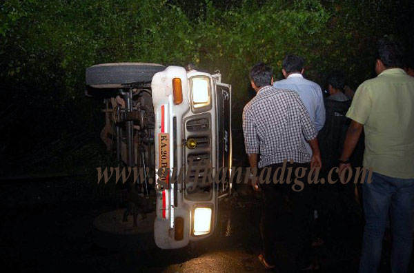 Illiegall_Cattle_transport4