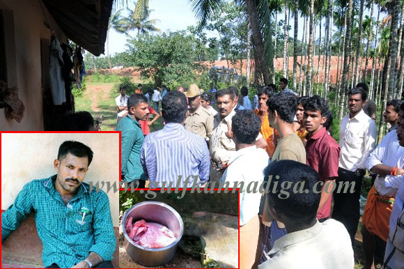 illegal_slaughter_house1