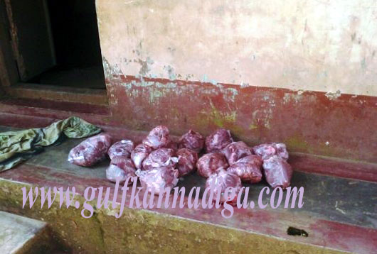 illegal_slaughter_house2