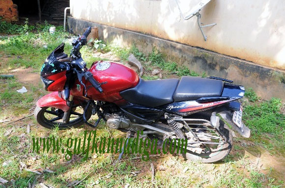 illegal_slaughter_house3