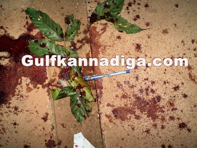 murder-attempt-sep2-12