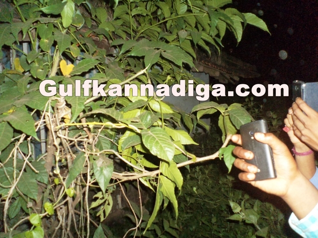 murder-attempt-sep2-23