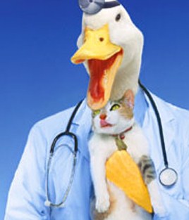 quack-doctor1
