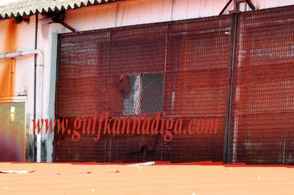 Soap_Factory_Robary_3