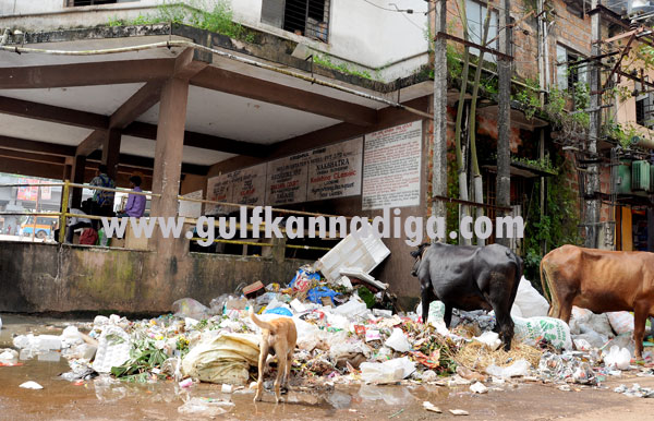 bantvala_tajya_rashi_2