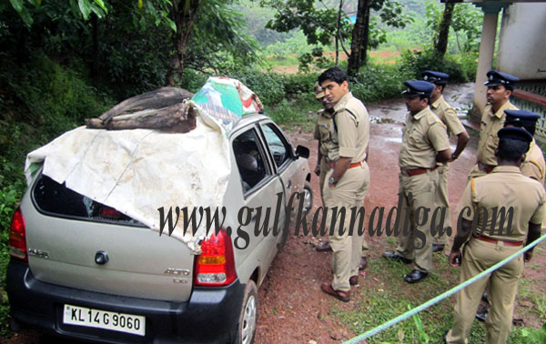 business_man_murdered_4