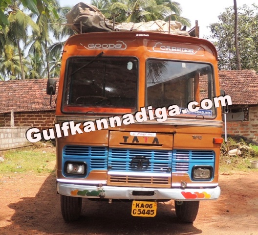 illegal-cow-transport-19