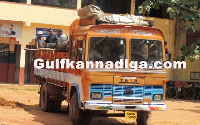 illegal-cow-transport-28