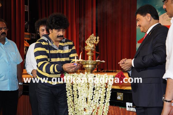 Bale telipale dubai-Nov 8-2013-275