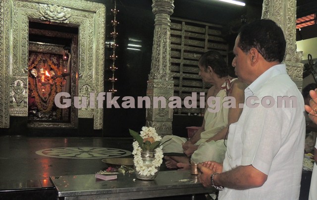 Kimmane-Ratnakara-aanegudde-visit-9