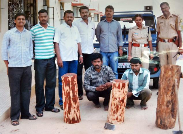 REDSANDERS__1662596f