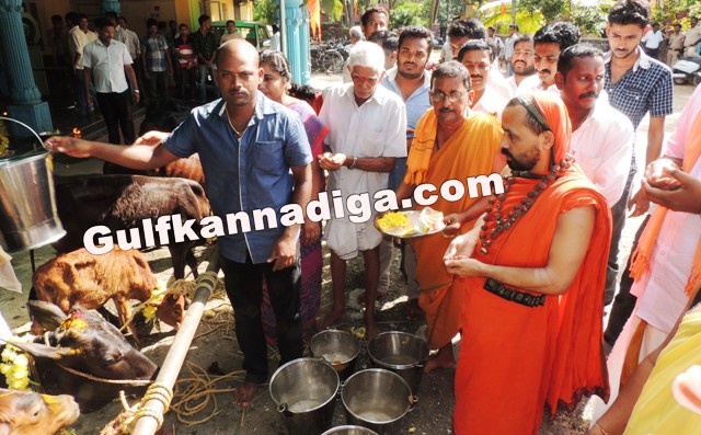 govu-pooje-koteshvara-2