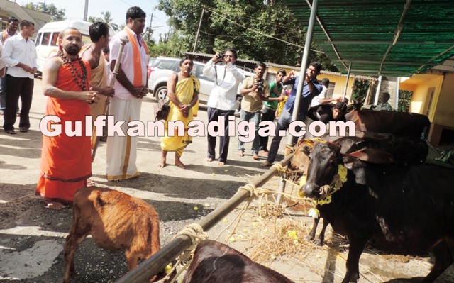 govu-pooje-koteshvara-22