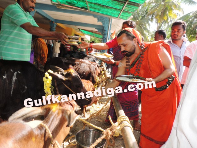 govu-pooje-koteshvara-4