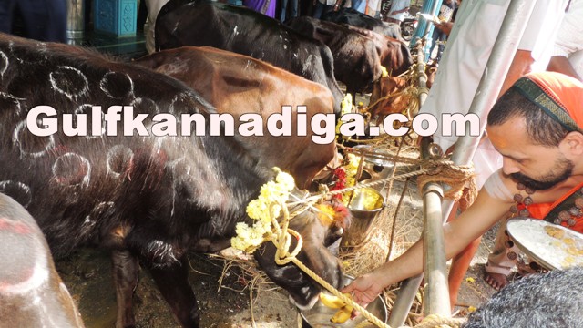 govu-pooje-koteshvara-5