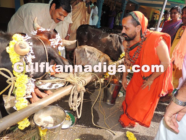 govu-pooje-koteshvara-7