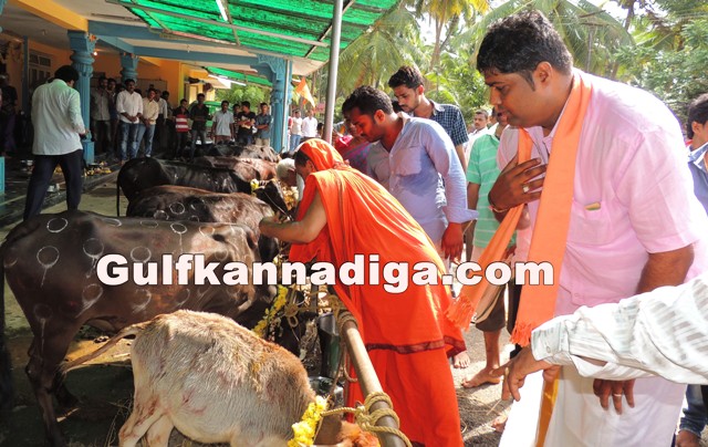 govu-pooje-koteshvara-9