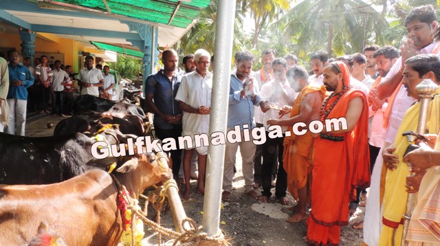 govu-pooje-koteshvara